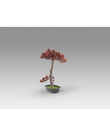 BUJIN-HI - BONSAI 45CM